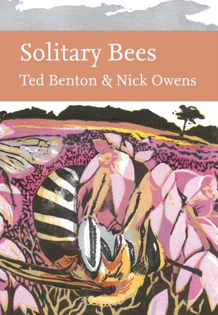 Solitary Bees, Hardback Book