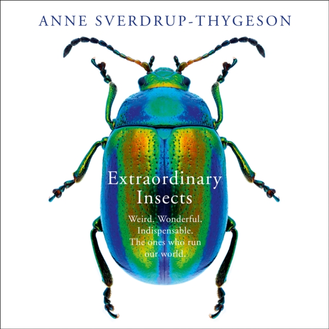 Extraordinary Insects : Weird. Wonderful. Indispensable. the Ones Who Run Our World., eAudiobook MP3 eaudioBook