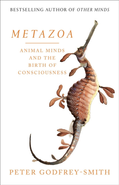 Metazoa : Animal Minds and the Birth of Consciousness, Hardback Book