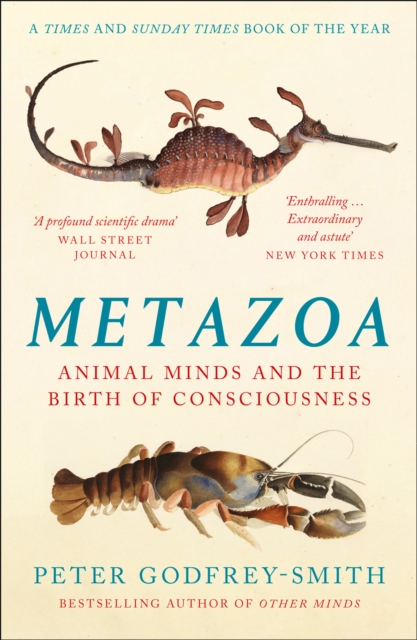 Metazoa : Animal Minds and the Birth of Consciousness, Paperback / softback Book