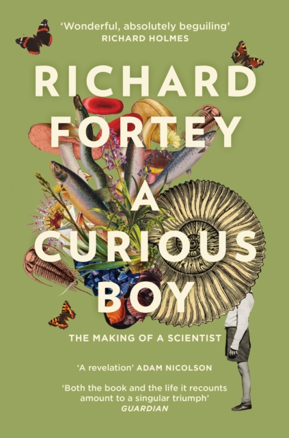 A Curious Boy : The Making of a Scientist, Paperback / softback Book