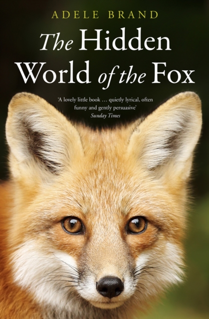 The Hidden World of the Fox, EPUB eBook