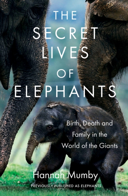 The Secret Lives of Elephants : Birth, Death and Family in the World of the Giants, Paperback / softback Book