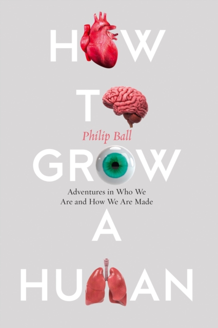 How to Grow a Human : Adventures in Who We are and How We are Made, EPUB eBook