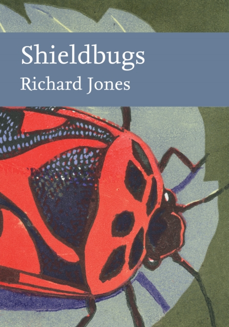 Shieldbugs, Hardback Book