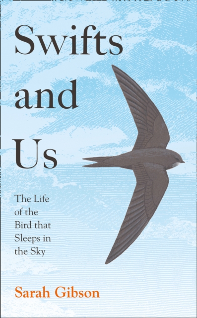 Swifts and Us : The Life of the Bird That Sleeps in the Sky, Hardback Book