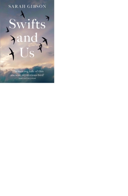 Swifts and Us: The Life of the Bird that Sleeps in the Sky, EPUB eBook