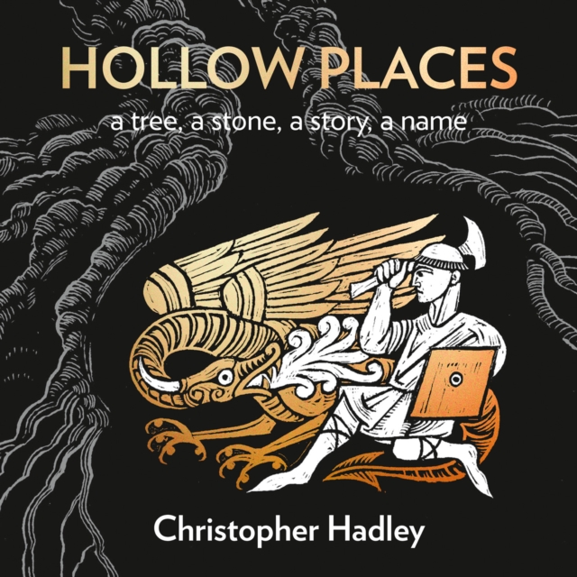 Hollow Places : An Unusual History of Land and Legend, eAudiobook MP3 eaudioBook