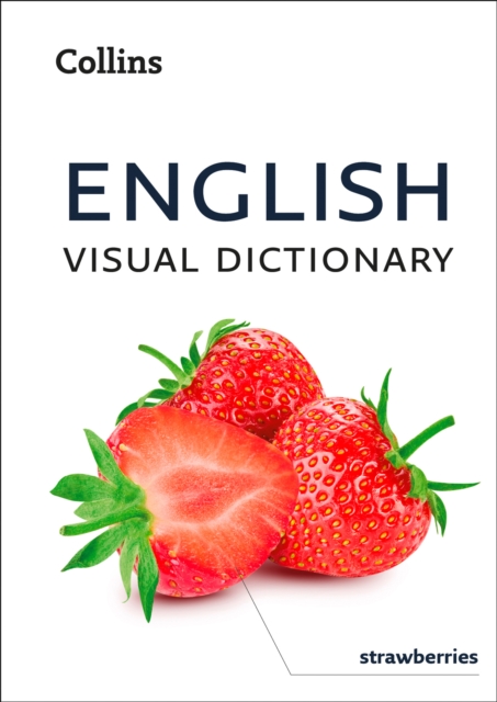 English Visual Dictionary : A photo guide to everyday words and phrases in English, EPUB eBook