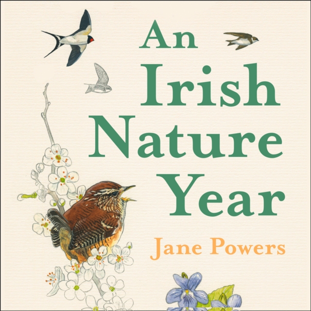 An Irish Nature Year, eAudiobook MP3 eaudioBook