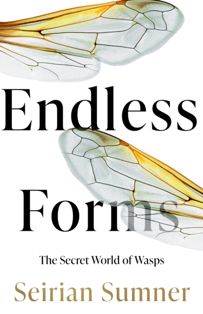Endless Forms : The Secret World of Wasps, Hardback Book