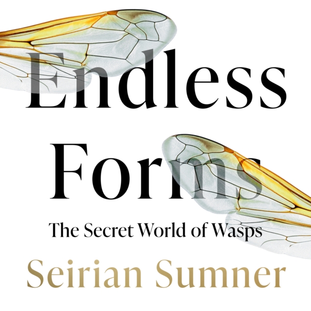 Endless Forms : Why We Should Love Wasps, eAudiobook MP3 eaudioBook