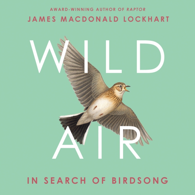 Wild Air : In Search of Birdsong, eAudiobook MP3 eaudioBook