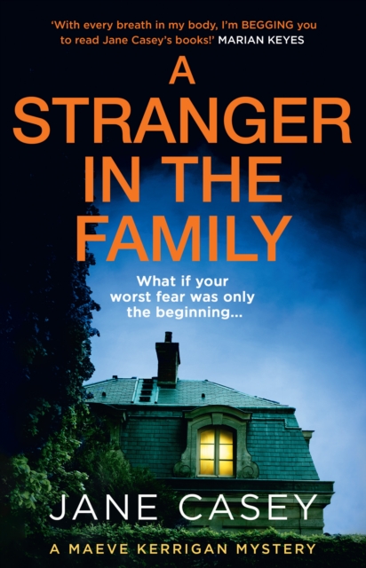 A Stranger in the Family, Hardback Book
