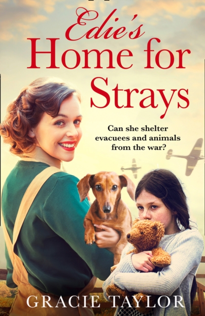 Edie’s Home for Strays, Paperback / softback Book