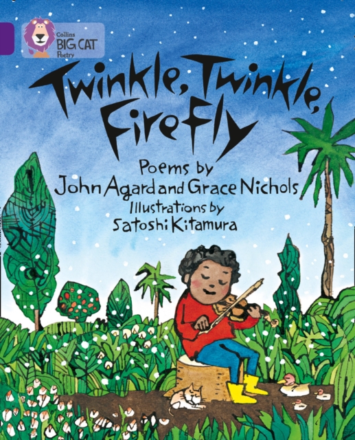 Twinkle, Twinkle, Firefly : Band 08/Purple, EPUB eBook