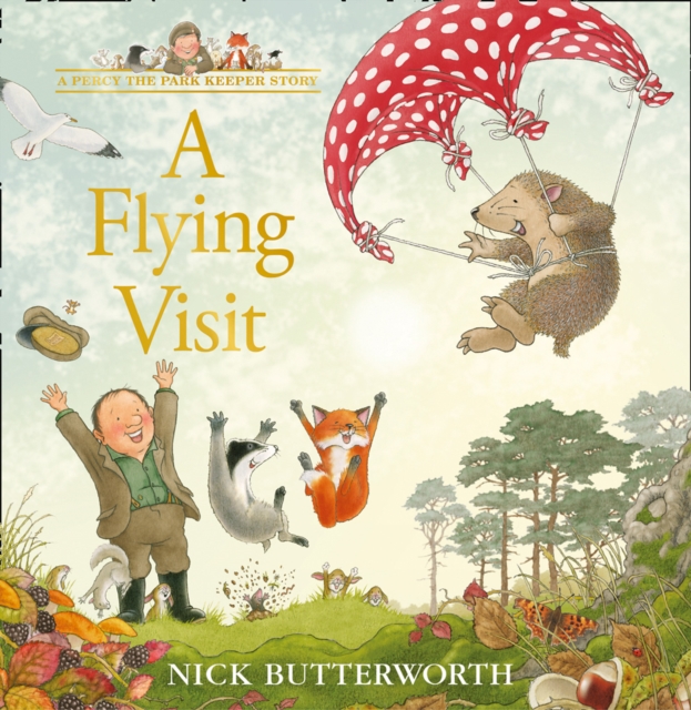A Flying Visit, Hardback Book
