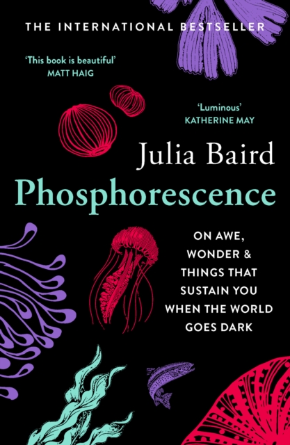 Phosphorescence : On Awe, Wonder & Things That Sustain You When the World Goes Dark, Paperback / softback Book