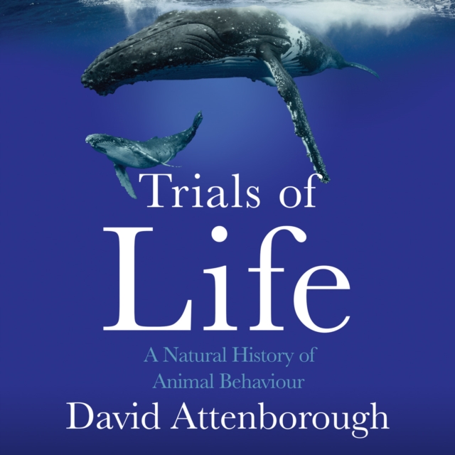 The Trials of Life : A Natural History of Animal Behaviour, eAudiobook MP3 eaudioBook