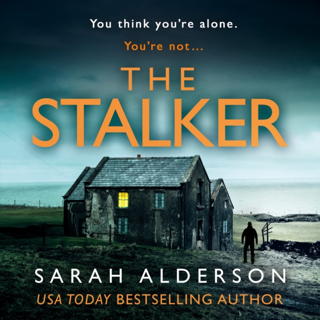 The Stalker, eAudiobook MP3 eaudioBook