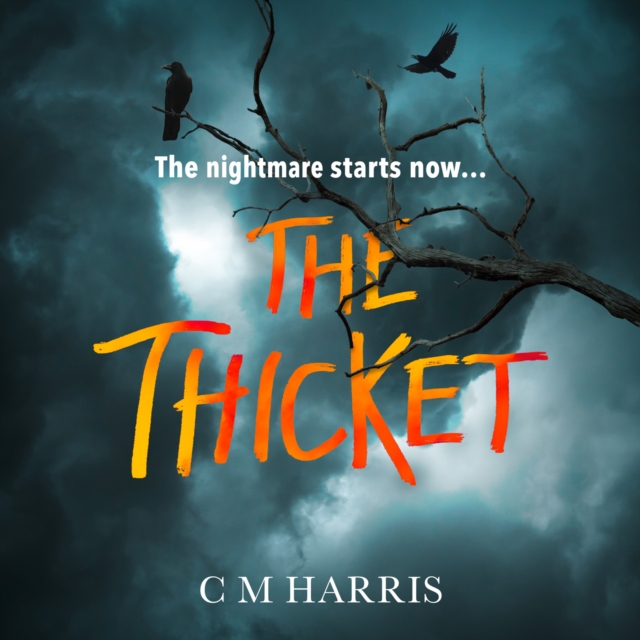 The Thicket, eAudiobook MP3 eaudioBook