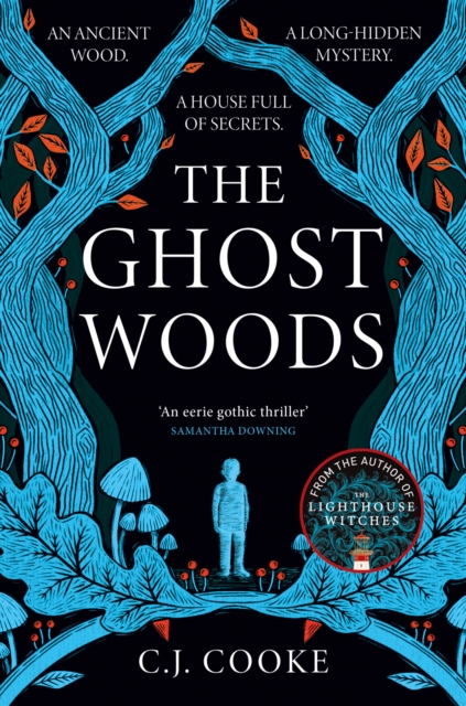The Ghost Woods, Paperback / softback Book