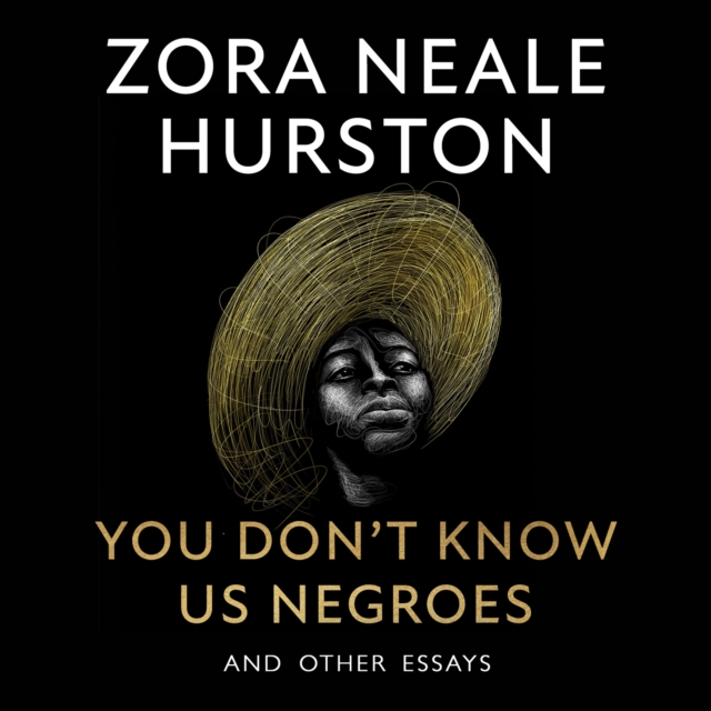 You Don't Know Us Negroes and Other Essays, eAudiobook MP3 eaudioBook