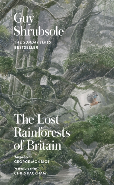 The Lost Rainforests of Britain, Hardback Book
