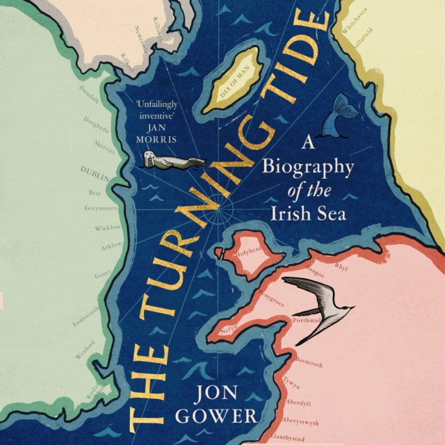 The Turning Tide : A Biography of the Irish Sea, eAudiobook MP3 eaudioBook