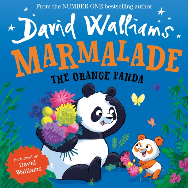 Marmalade : The Orange Panda, eAudiobook MP3 eaudioBook