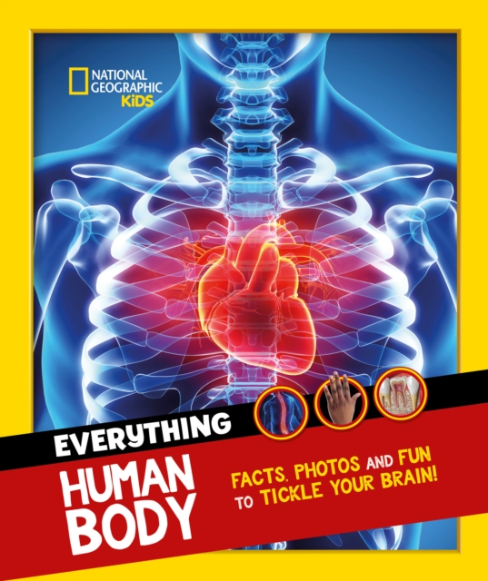 Everything: Human Body : Eye-Opening Facts and Photos to Tickle Your Brain!, Paperback / softback Book