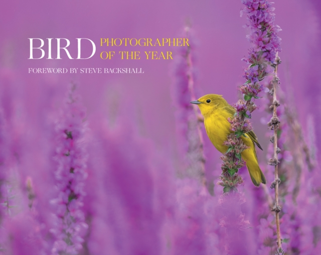 Bird Photographer of the Year : Collection 7, Hardback Book