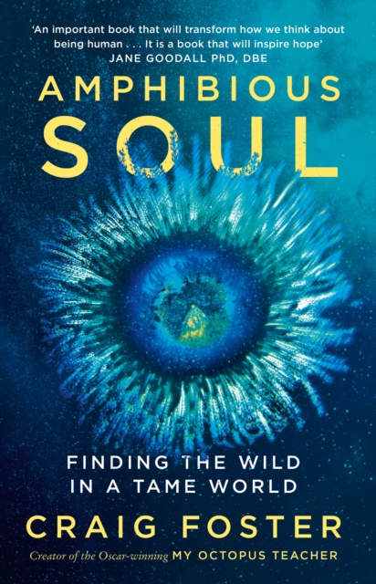 Amphibious Soul : Finding the Wild in a Tame World, Hardback Book