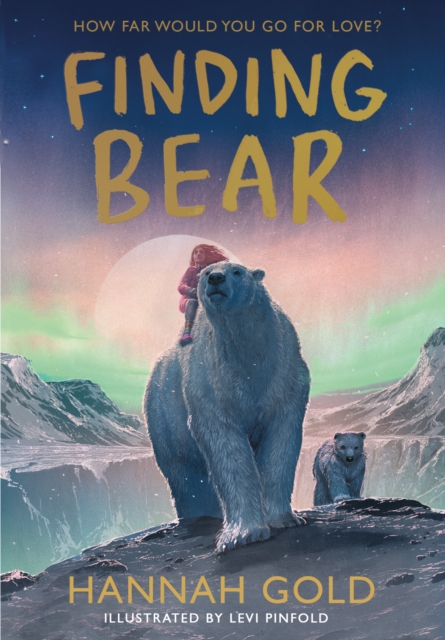 Finding Bear, Hardback Book