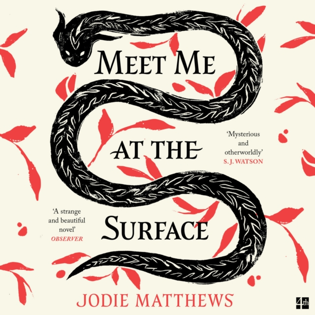 Meet Me at the Surface, eAudiobook MP3 eaudioBook