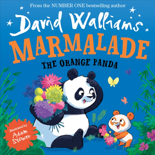 Marmalade : The Orange Panda, Paperback / softback Book