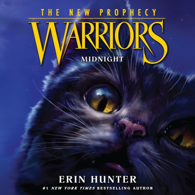 MIDNIGHT, eAudiobook MP3 eaudioBook