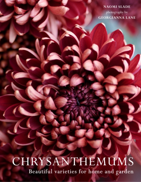Chrysanthemums : Beautiful Varieties for Home and Garden, Hardback Book
