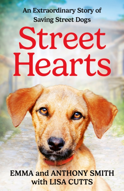Street Hearts : An Extraordinary Story of Saving Street Dogs, Hardback Book