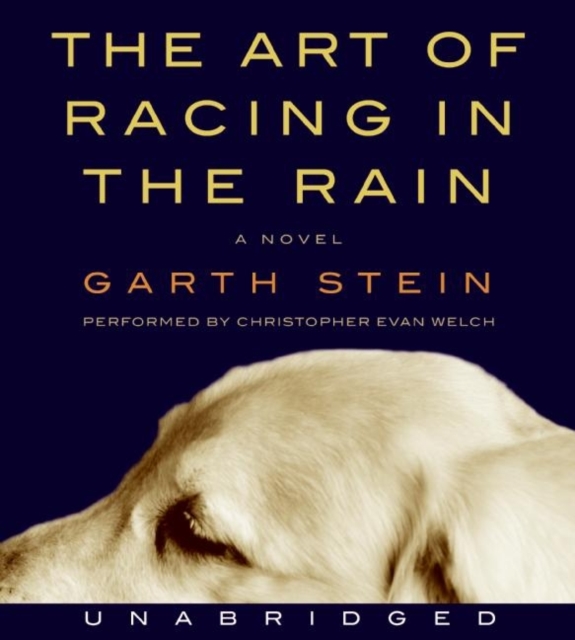 The Art of Racing in the Rain, eAudiobook MP3 eaudioBook