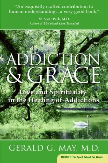 Addiction and Grace : Love and Spirituality in the Healing of Addictions, EPUB eBook