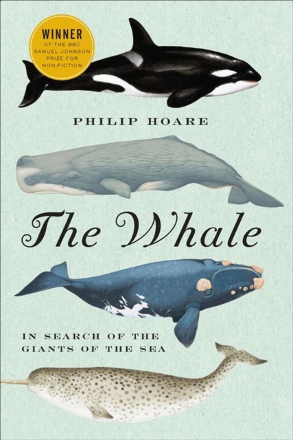 The Whale : In Search of the Giants of the Sea, EPUB eBook