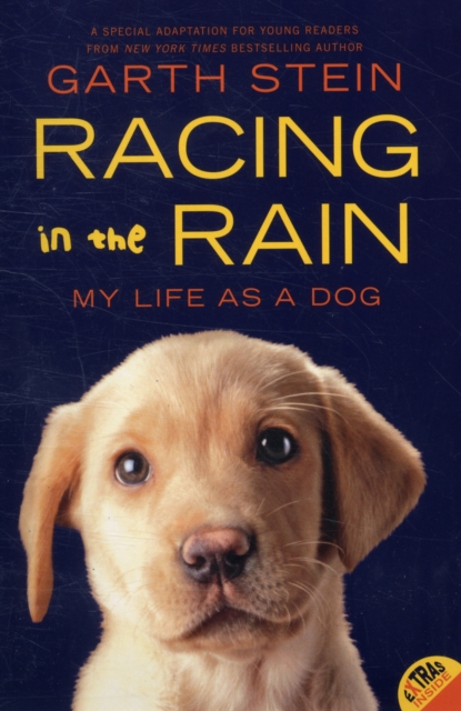 Racing in the Rain : My Life as a Dog, Paperback / softback Book