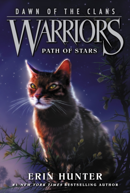 Warriors: Dawn of the Clans #6: Path of Stars, EPUB eBook