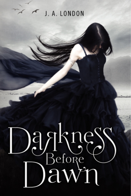 Darkness Before Dawn, EPUB eBook