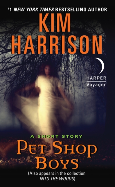 Pet Shop Boys : A Short Story, EPUB eBook