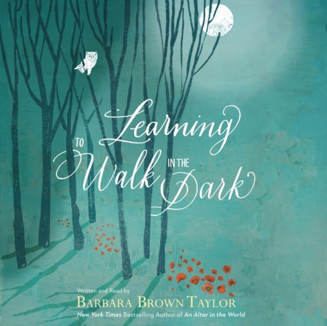 Learning to Walk in the Dark : Because Sometimes God Shows Up at Night, eAudiobook MP3 eaudioBook