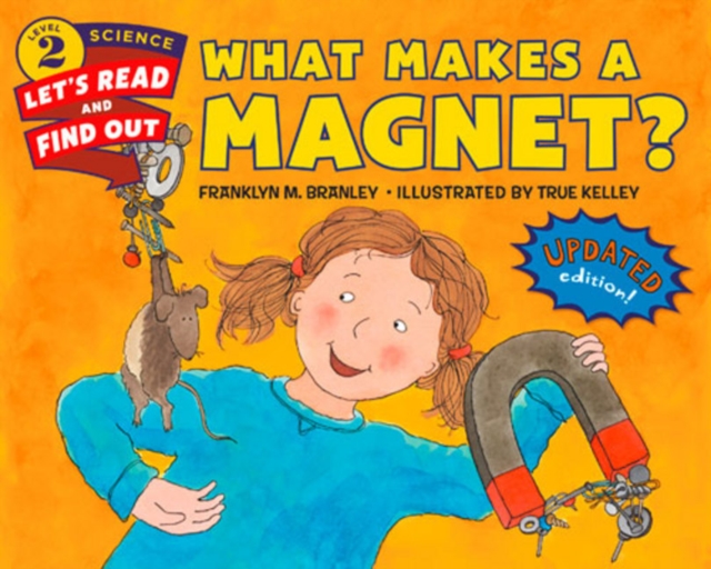 What Makes a Magnet?, Paperback / softback Book