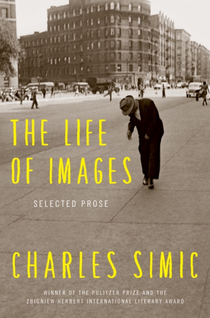 The Life of Images : Selected Prose, EPUB eBook