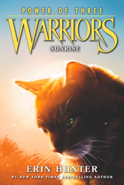 Warriors: Power of Three #6: Sunrise, Paperback / softback Book